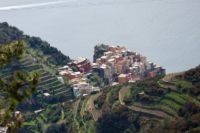Private Cinque Terre Trek & Tour - Top Attractions Along the Route