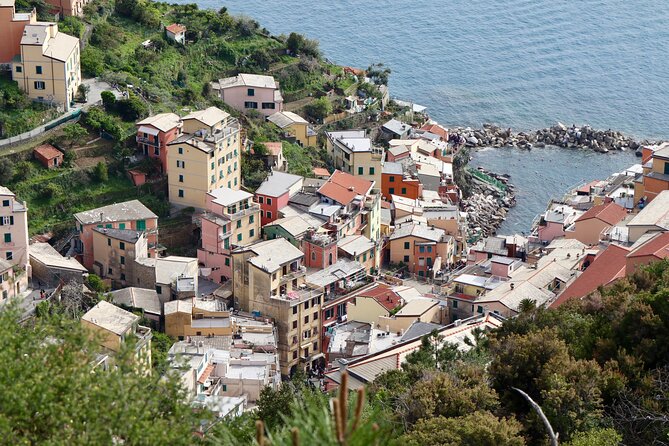 Private Cinque Terre Trek & Tour - Transition to Monterosso and Old Town Exploration