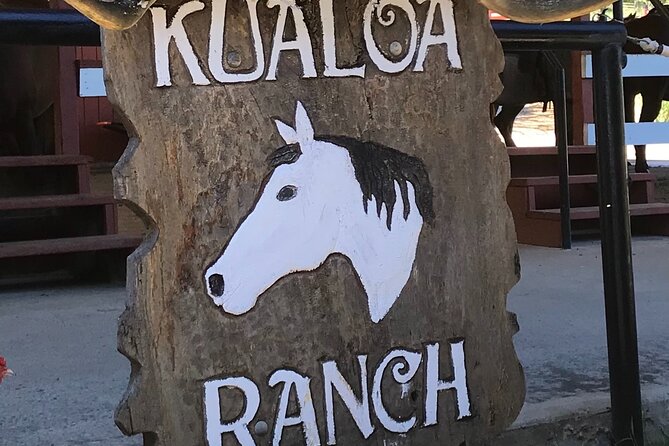 Private Circle Island Full Day up to 14 people (Se habla Español) - Key Points