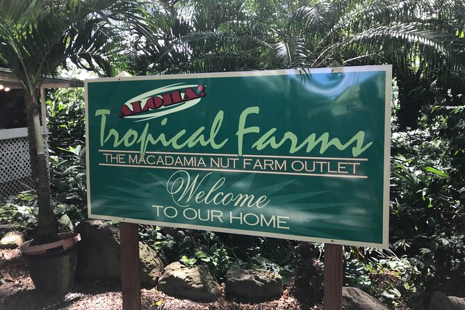 Private Circle Island Full Day up to 14 people (Se habla Español) - The Magnificent Byodo-In Temple