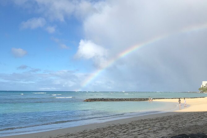Private Circle Island Full Day up to 14 people (Se habla Español) - Coffee Farm and North Shore Beaches