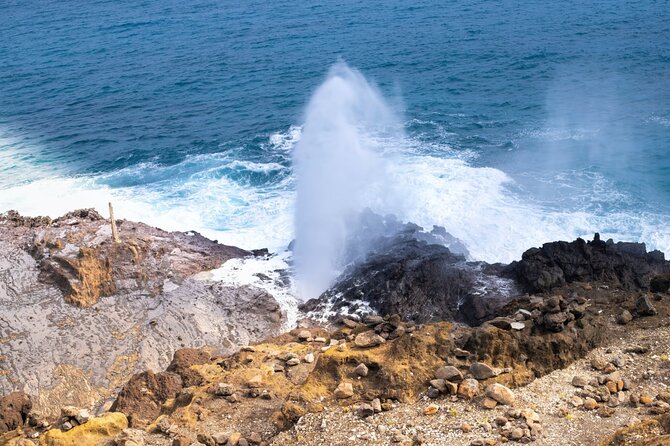 Private Circle Island Tour Across Oahu Paradise - Turtle Watching at Laniakea Beach