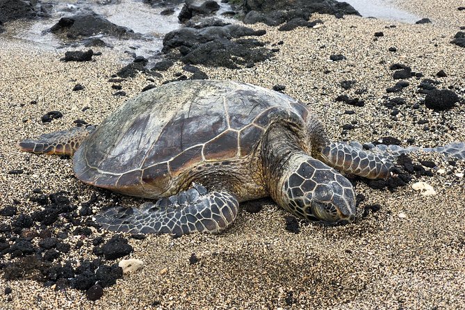 Private Circle Island Tour we build your dream Itinerary - The Value of a Fully Private, Custom Tour