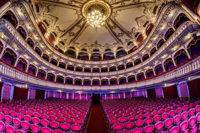 Private city tour in Cluj-Napoca - Accessibility and Suitability