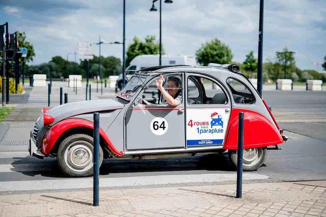 Private City Tour of Bordeaux in a Citroën 2CV - 1h30 - Practicalities and Accessibility