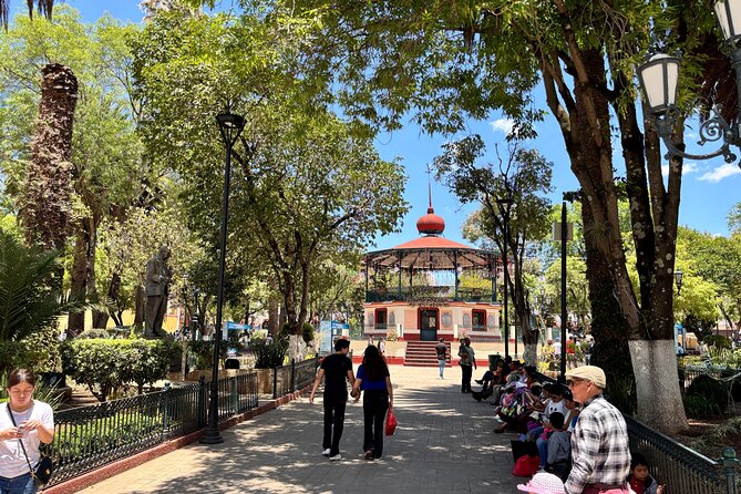 Private City Tour San Cristobal de las Casas - Relaxing at Plaza de la Paz