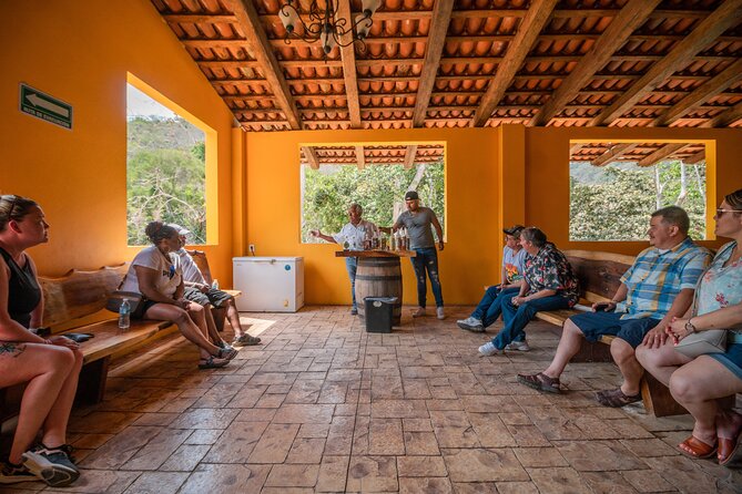 Private City tour & tequila tasting - Key Points