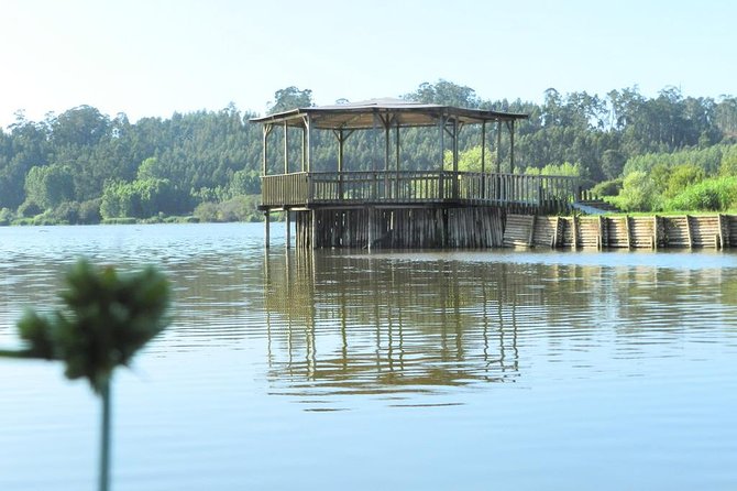 Private Coastal Journey (Obidos, Nazaré) to Águeda Art Umbrellas - Aveiros Canals and Colorful Boats