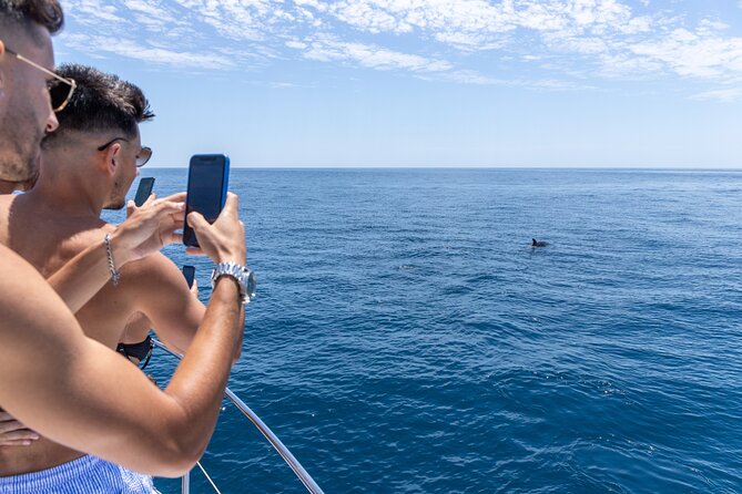 Private Coastline and Dolphins Yacht Cruise from Albufeira - Key Points