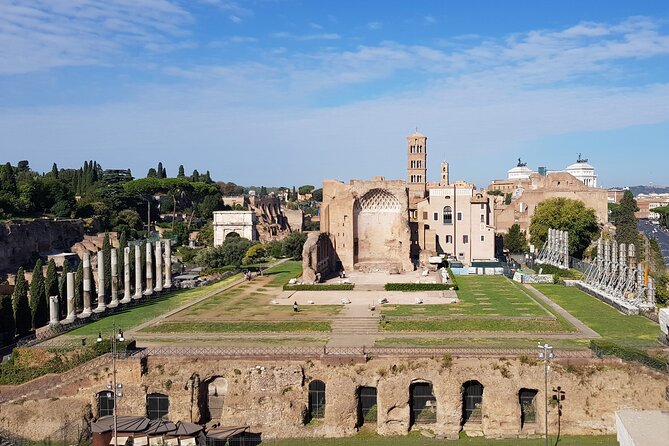 PRIVATE Colosseum, Roman Forum and Palatine Hill tour - Discover the Historic Heart of Rome at the Colosseum