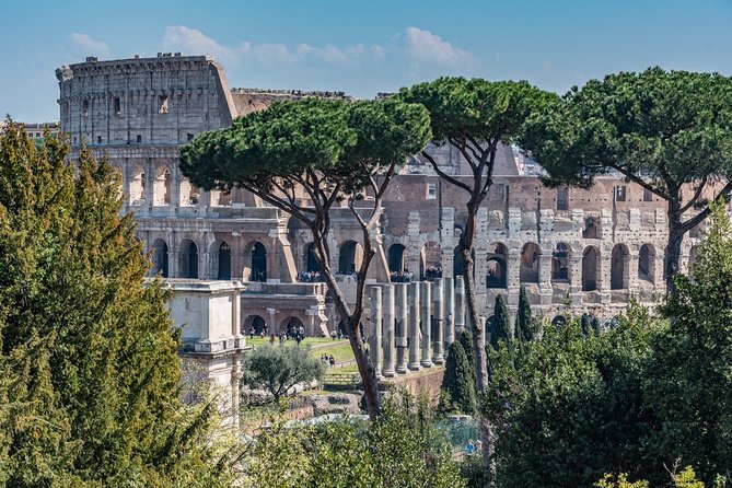 Private Colosseum Tour with Gladiator Arena Floor, Forum and Palatine Hill - Why This Tour Offers Exceptional Value for Rome Visitors