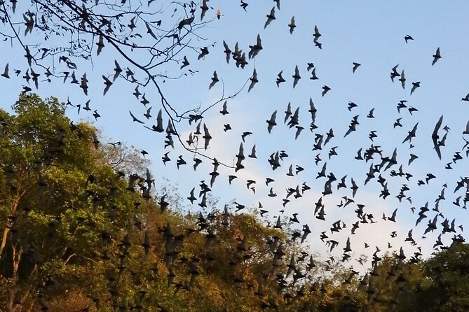 Private Community Tourism Experience in Calakmul - Sustainability and Customer Experience