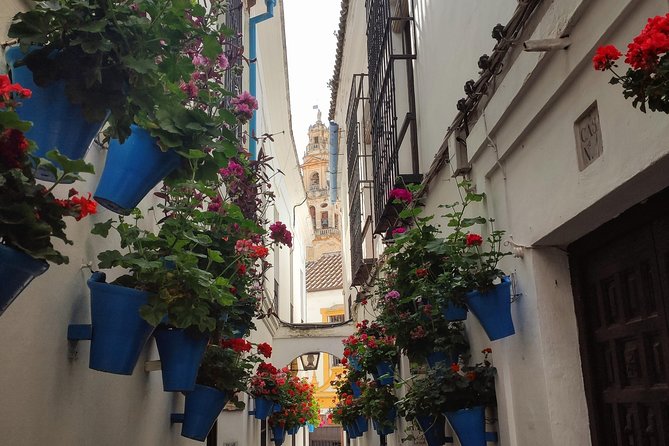 Private Córdoba Highlights Walking Tour - Final Thoughts on the Córdoba Highlights Tour