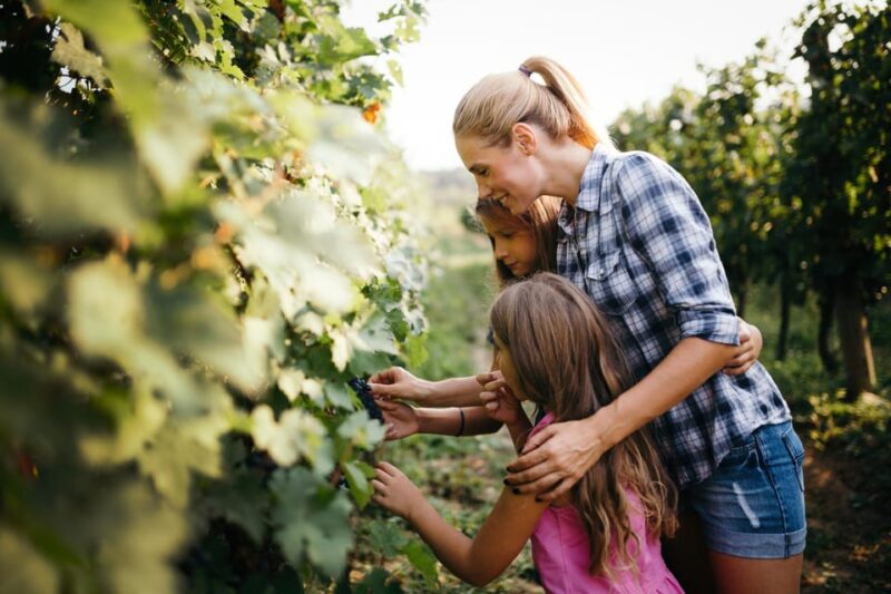 Private Crete Gods & Stargazing Tour inc. diner & wine - Frequently Asked Questions