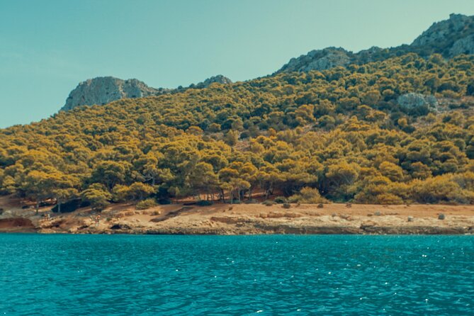 Private cruise: AEGINA ISLAND - MOLI ISLET - PERDIKA - Authentic Greek Cuisine in Perdika’s Seaside Taverna