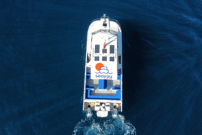 Private Cruise to Calheta and Caniçal Coasts - The Scenic Highlights: Cliffs, Beaches, and Volcanic Coastlines