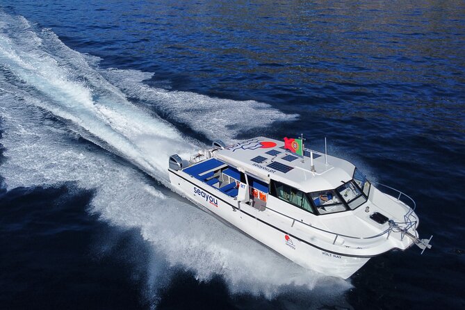 Private Cruise to Calheta and Caniçal Coasts - Who Will Enjoy This Tour Most?