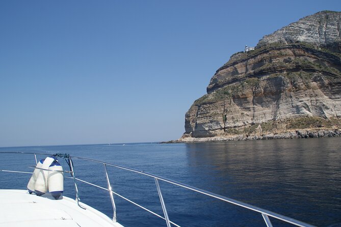 Private Cruise to Ischia and Procida - Yacht 40' - Starting Point and Tour Duration from Sorrento or Naples