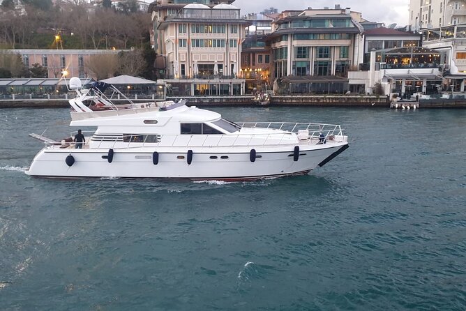 Private Cruise trough Bosphorus Istanbul - Who Will Get the Most Out of This Tour