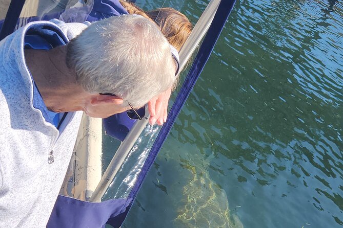 Private Crystal River Wildlife Boat Tour - Crystal River’s King’s Bay: Where Wildlife Comes Alive