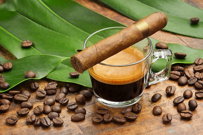 Private Cultural and Food Walking Tour of Little Havana - Art, Culture, and Hidden Gems