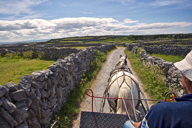 Private cultural tour of Inisheer, Aran Islands with lunch, horse and trap tour - Explore Inisheer with a Personalized Cultural Tour