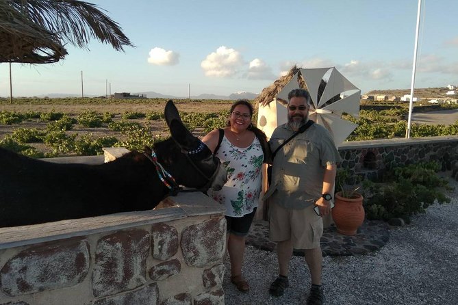 Private Cultural Villages Sightseeing & Akrotiri Excavations - The Value and Flexibility of the Tour