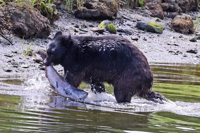 Private Custom Excursion with a Local for up to 14 people - Discover a Fully Personalized Ketchikan Adventure