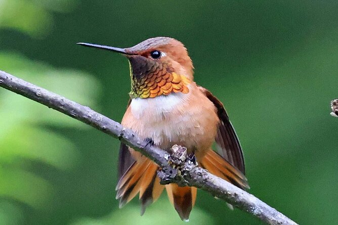 Private Custom Excursion with a Local for up to 14 people - Scenic Beaches, Waterfalls, and Trail Hikes