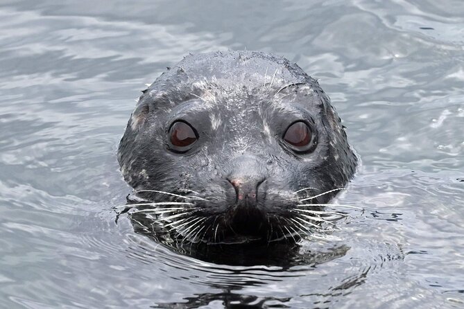 Private Custom Excursion with a Local for up to 14 people - Flexibility and Pacing for a Comfortable Experience