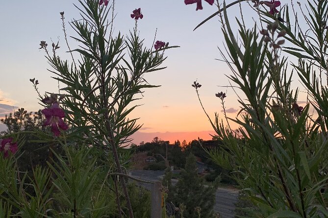 Private Custom Grand Canyon Tours - Physical Requirements and Accessibility