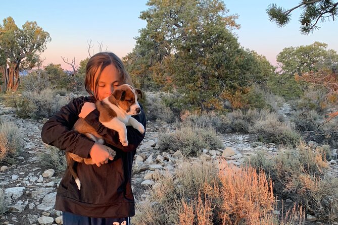 Private Custom Grand Canyon Tours - Booking and Cancellation Policies