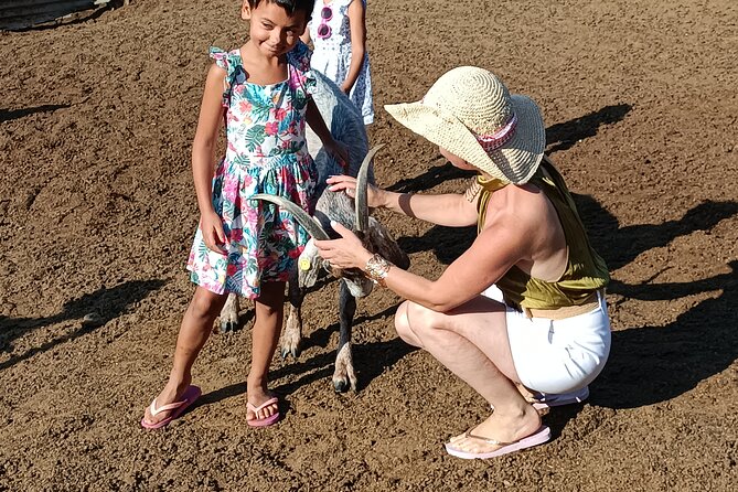 Private Custom Tours to Thessaloniki - Practical Details and Logistics