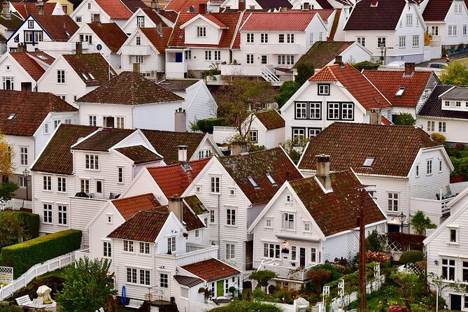 Private Custom Walking Tour with a Local Guide in Stavanger - Sverd i fjell: Commemorating Norway’s First King