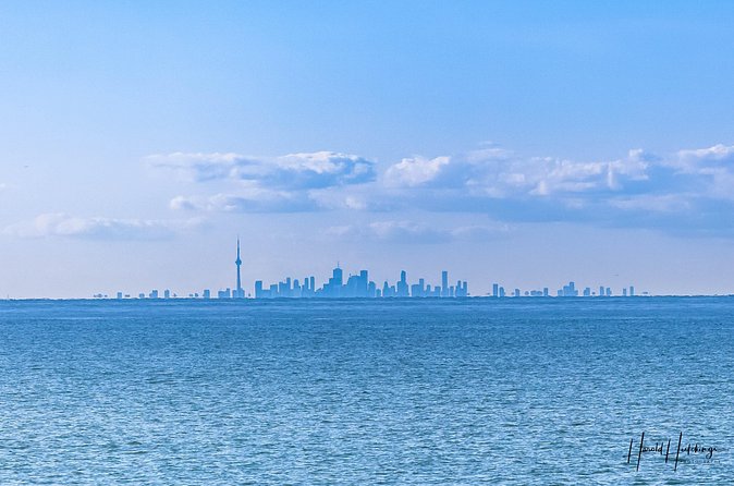 Private Customizable Day Trip/Tour of Toronto from Niagara Falls - Food, Culture, and Entertainment in Toronto