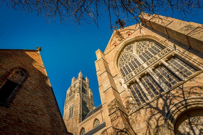 Private Customizable Guided Tour: Explore at Your Own Pace - Jan Van Eyckplein: Celebrating a Master Painter