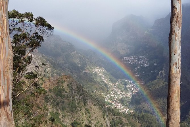 Private & Customizable Safari 4x4 Half-Day Shore Excursion - How This Tour Stands Out in Madeira