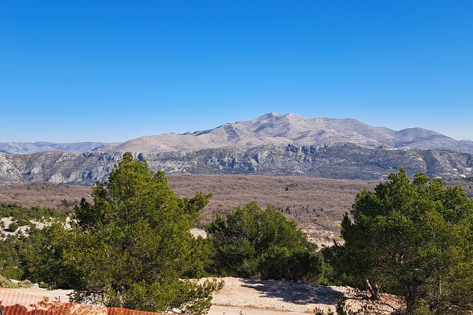 Private Customizable Tour of Croatia Via Minivan with a Guide - Comparing This Tour to Similar Experiences