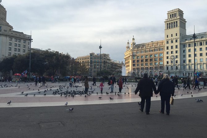 Private Customized Barcelona Tour by Mercedes VIP Bus and Personal Expert Guide - Panoramic Views from Museu Nacional dArt de Catalunya