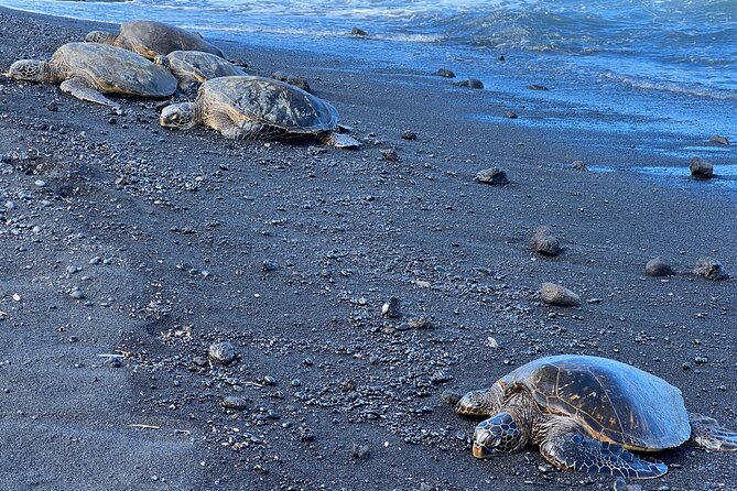 Private Customized Big Island Adventure Tour (4-6 Hours) - The Guide’s Role and Guest Experience