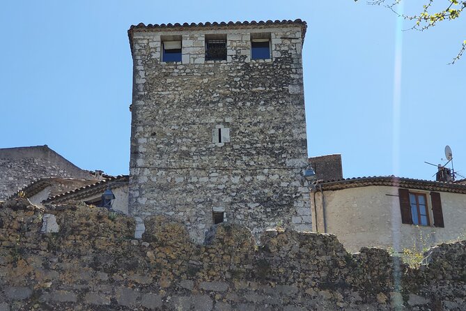 Private Customized French Riviera Tour from Port of Cannes 8H - Flexibility and Customization of the Tour