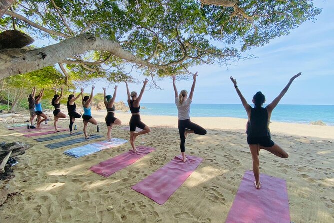 Private Customized Group Yoga Class with Wanderlust Sayulita - Why This Tour Stands Out in Sayulita