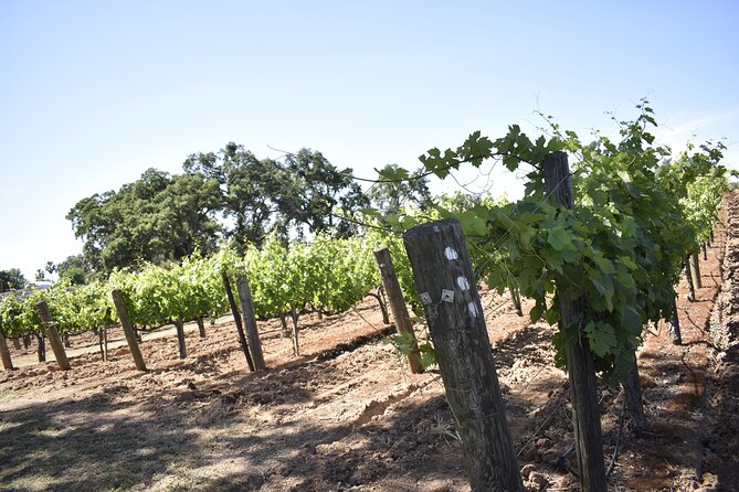 Private, Customized Napa Valley Wine Tasting Tour 6To14 passenger - Booking Flexibility and Cancellation Policy