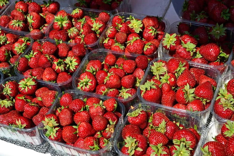 Private Cycle Tour in Helsinki, 4h - Key Points