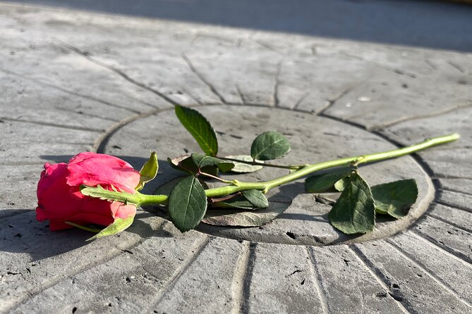 Private Dachau Concentration Camp Memorial Site Tour from Munich - Practicalities and Accessibility