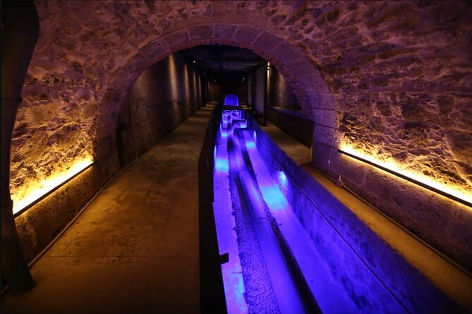 Private Day Adventure through the Guadalajara Museums and Michin Aquarium - What’s Included and What’s Not