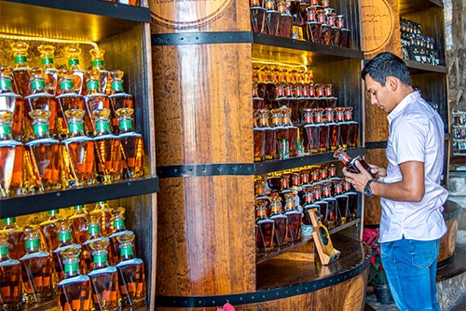 Private Day Adventure Tour in Tequila and visit to the Castle of Tequila - Free Time in the Town of Tequila for Photos and Souvenirs