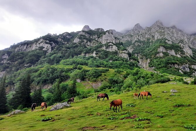 Private day hike from Brasov to Malaiesti Cottage - The Role of the Mountain Guide