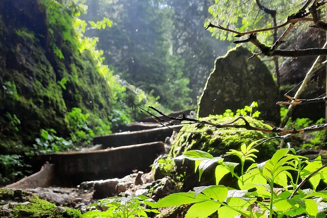 Private day hike from Brasov to Malaiesti Cottage - Practical Details: What Is Included and What to Bring