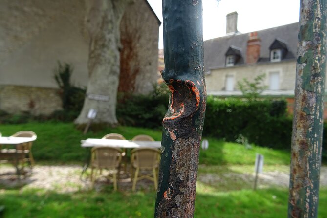 Private Day Tour 82nd and 101st Airborne Utah Operations - Utah Beach: The First Landing